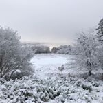 Steven Mcginn - Instagram Profile Picture of Steven Mcginn (@smcginn120912doge) on Instagram