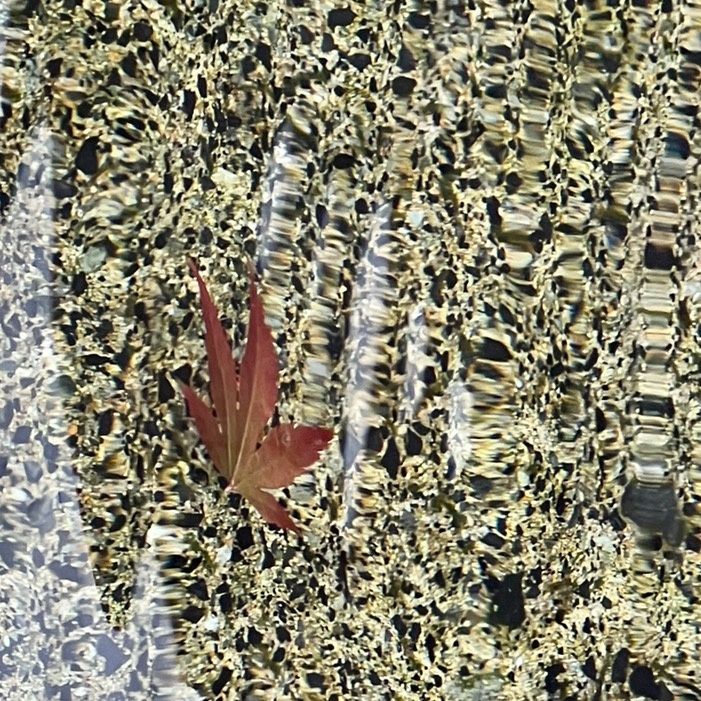 Profile Picture of Jasmine.Tyler (@citlawwto95) on Tiktok