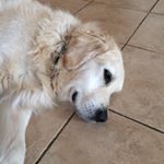 Profile Picture of anne_mullaney (@anne_mullaney) on Instagram
