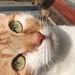 Profile Picture of Samantha Mettias (@25mettiassamantha) on Pinterest