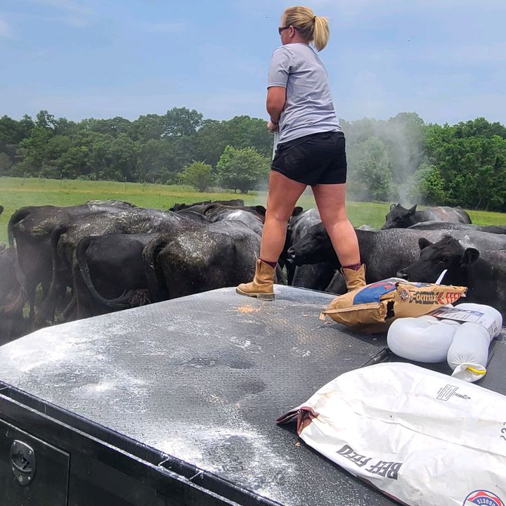 Profile Picture of Jessica Pass (@@jessicapass7) on Tiktok