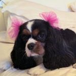 Profile Picture of penny canon (@penny_posts) on Instagram