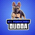 Profile Picture of Bubba Hernandez (@bubbas_the_frenchie) on Instagram