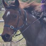 Profile Picture of Tanisha Janae Bonassi-Mayfield (@jimmypanda92) on Instagram