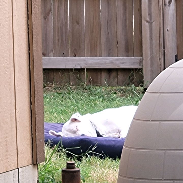 Profile Picture of michaelhatchel (@michaelhatchel) on Tiktok