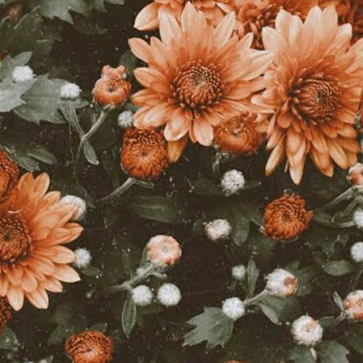 Profile Picture of aaronvando (@aaronvando) on Tiktok