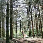 Profile Picture of Matt McCallum (@matt_mcc0) on Instagram