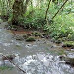 Marshall Elliott - Instagram Profile Picture of Marshall Elliott (@marshall_e_photography) on Instagram