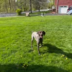 Shannen Nestor - Facebook Profile Picture of Shannen Nestor (@Shannen-Nestor) on Facebook