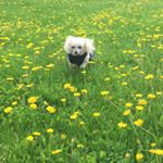 Profile Picture of Thuthi Autumn Kohls (@thuthiautumn) on Instagram