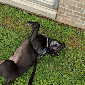 Profile Picture of Jacob Weinberg (@DontFearTheReeper24) on Youtube