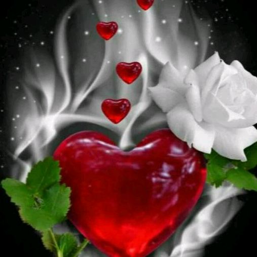 Profile Picture of 💖💖💖💖🌹 Ramirez 🌹💖💖💖 (@josefaramirez72) on Tiktok