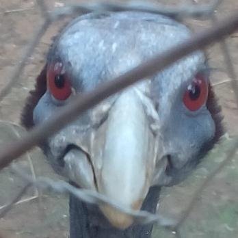 Profile Picture of Anne Kennedy (@AnneKennedyOrg) on Twitter