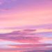 Profile Picture of Caleb Acosta (@cacosta3306) on Pinterest