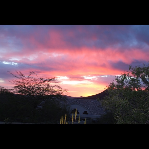 Profile Picture of Jessica Buenz (@jmbuenz) on Poshmark