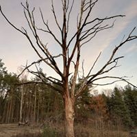 Profile Picture of Ariel Płotko (@ariel-płotko) on Quora