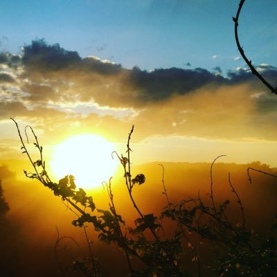 Stephen LaMarche - Twitter Profile Picture of Stephen LaMarche (@StephenLaMarch4) on Twitter