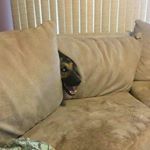 Profile Picture of lixia (@wulilixia) on Instagram