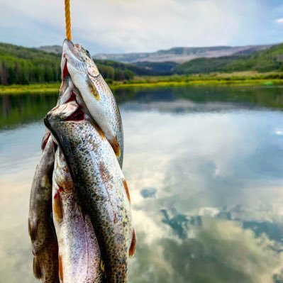 Profile Picture of Daniel McGarvey (@bigmac_95_) on Twitter