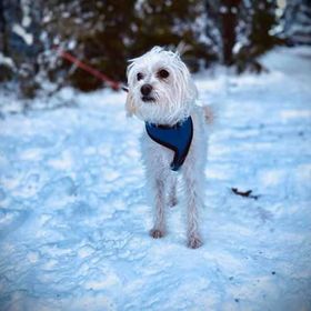 Profile Picture of Steven Kruk (@stevenkruk1) on Pinterest