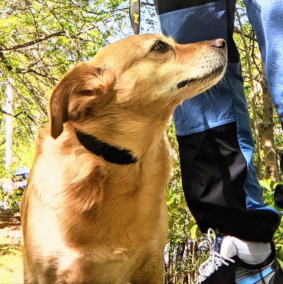 Profile Picture of Pawel Piwko (@wilfredgifko) on Poshmark