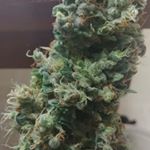 Profile Picture of Quintin (Vape_guy) Mcguire (@vape_guy_710) on Instagram