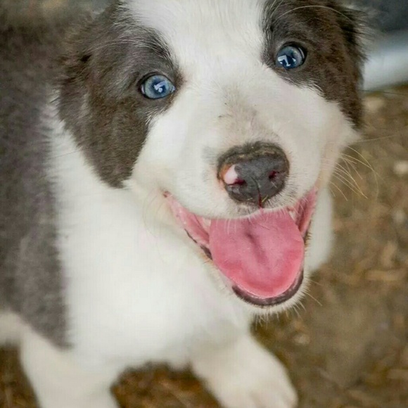 Profile Picture of Lisa Cunning (@lisacunning) on Poshmark