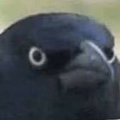 Profile Picture of Dylan Brockman (@DylanBrockman4) on Twitter