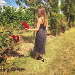 Profile Picture of Annika Wiedemann (@annika_0905) on Instagram