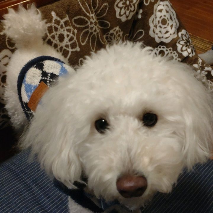Profile Picture of Carly.Singleton (@whowedqsq5t) on Tiktok