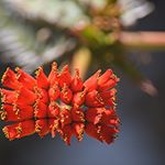 Profile Picture of Robert Sheppard (@edisonainley_2_be) on Instagram