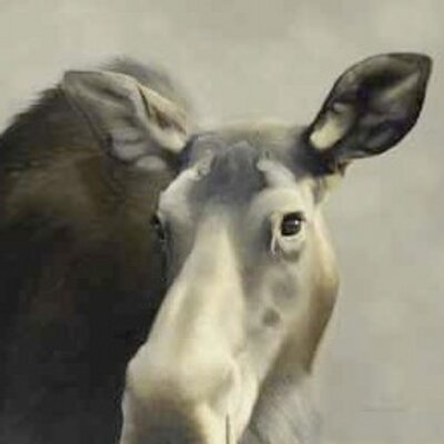 Profile Picture of Michele Clarkson (@tremontstudio2) on Twitter