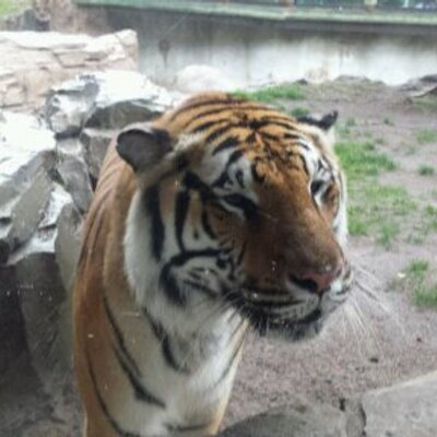 Profile Picture of Adam Nance (@anance89) on Twitter