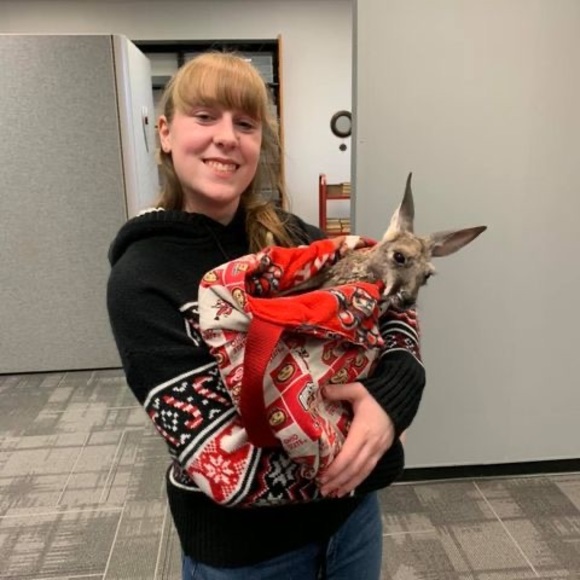 Profile Picture of Brooke Hinkle (@hink64) on Poshmark