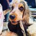 Profile Picture of Mandy Andrews (@manzox) on Pinterest
