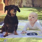 Profile Picture of Cameron Luke McCulloch (@cameron.luke.mcculloch) on Instagram