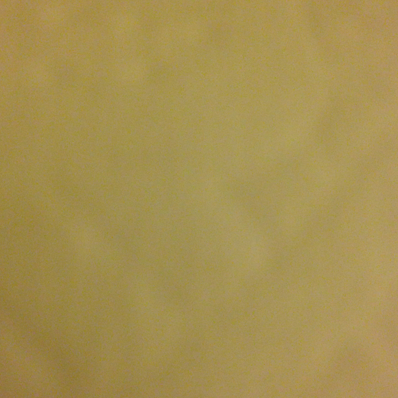 Profile Picture of Nyda Sean (@nana828) on Poshmark