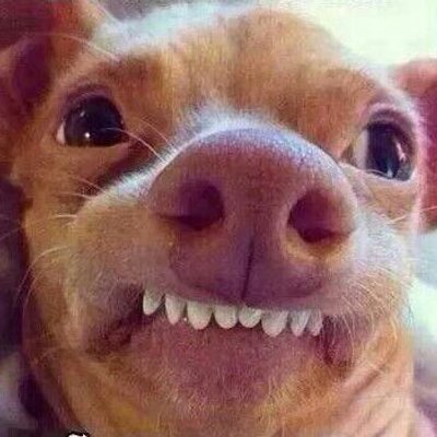 Profile Picture of Raphael Madrigal (@raphaelsandiego) on Twitter