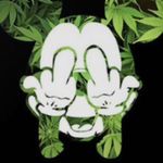 Profile Picture of Gavin Hahn (@gavin.hahn.92) on Instagram