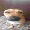 Profile Picture of Армян (@markzbinski) on Tiktok
