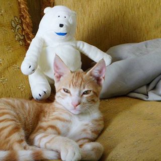 Profile Picture of Philip Tarmey (@philip.tarmey.7) on Facebook