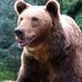Profile Picture of Robert Adamic (@robert.adamic.75) on Facebook