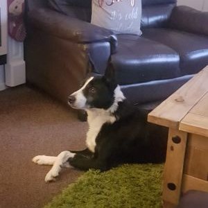 Profile Picture of Ted Jenkins (@TedJenkins20) on Twitter