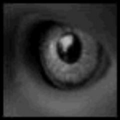 Profile Picture of Michael Buford (@MichaelBuford3) on Twitter