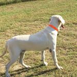 Profile Picture of Jeff Paramore (@jeff.paramore) on Instagram