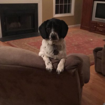 Morgan Silverblatt - Twitter Profile Picture of Morgan Silverblatt (@mssilverblatt) on Twitter