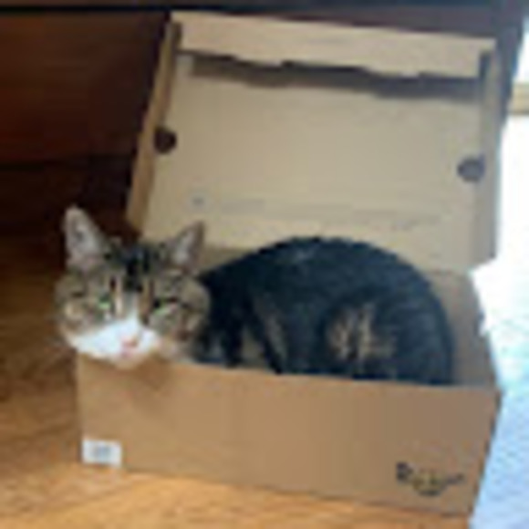 Profile Picture of Rubi Kastenmeier (@rkastenmeier27) on Poshmark