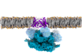 Profile Picture of Derlin-1on Wikipedia