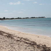 Profile Picture of Jose A Quijano (@joseaquijano4030) on Youtube