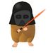Profile Picture of Darth hamster (@SuElleeeeeeeeeeeeeeen) on Pinterest